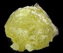 Mountain Dew Yellow Brucite (Rare Find) - Pakistan #40407-1